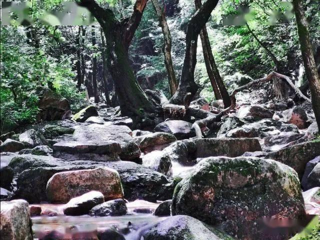 公主的夏季舞会