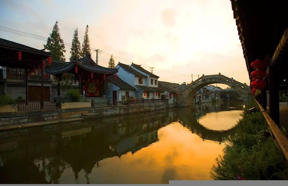救援小巨鳄